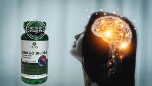 thuoc-felix-ginkgo-biloba-co-tot-khong-review-thuc-te-tu-nguoi-dung1